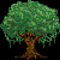 redwood
