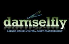 Damselfly