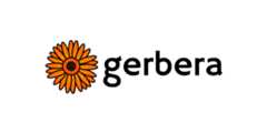 gerbera