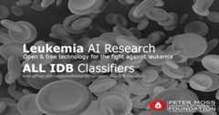 ALL-IDB-Classifiers