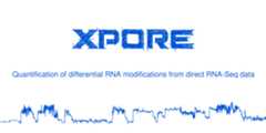 xpore