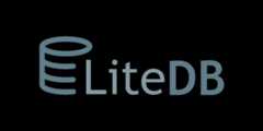 LiteDB