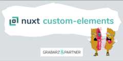 nuxt-custom-elements