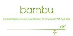 bambu