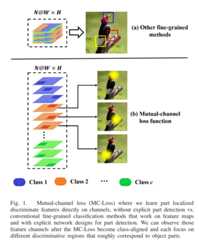 Mutual-Channel-Loss