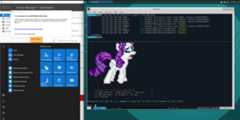 capsulecorp-pentest