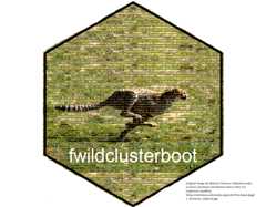fwildclusterboot
