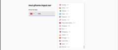 mui-phone-input-ssr