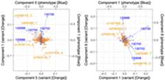 multisnpnet-Cox