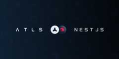 nestjs