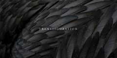 Transfiguration