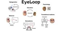 eyeloop
