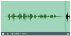 videojs-record