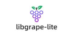 libgrape-lite