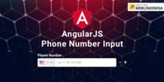 Angular-Phone-Number-Input