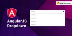 Angular-Dropdown-Component