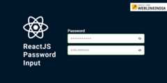 ReactJS-Password-Input