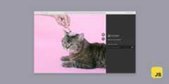 amazon-ivs-feed-web-demo
