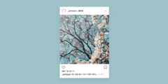 instagram-editor