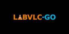 libvlc-go