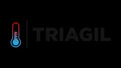 2020.1_G1_Triagil