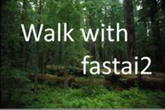 walkwithfastai.github.io