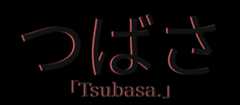 TsubasaCS