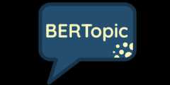 BERTopic