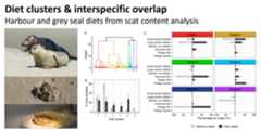 Diet_Cluster_and_Overlap