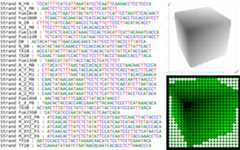 dna-3d-engine