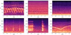 environmental-sound-classification