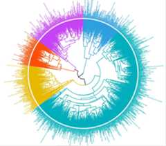 Clustering-of-music-tracks-based-on-audio-characteristics