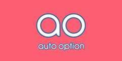 AutoOption