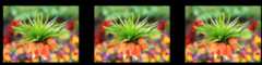 Image-super-resolution