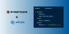steampipe-plugin-whois