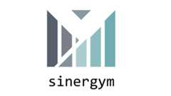 sinergym