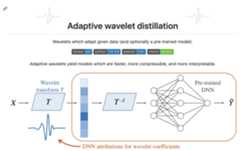 adaptive-wavelets