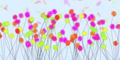 flowers-webgl