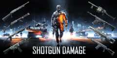 shotgun-damage