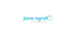 java-ngrok