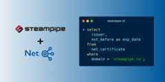 steampipe-plugin-net