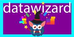 datawizard