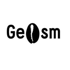 geosm-frontend-final