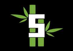 Sugarcane