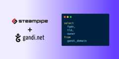 steampipe-plugin-gandi