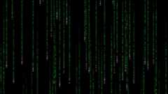 datalink_layer_sniffer