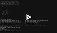 gh-install