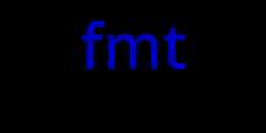 fmtparser