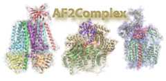 af2complex