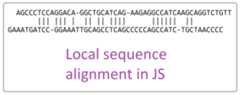 Local-sequence-alignment-in-JS